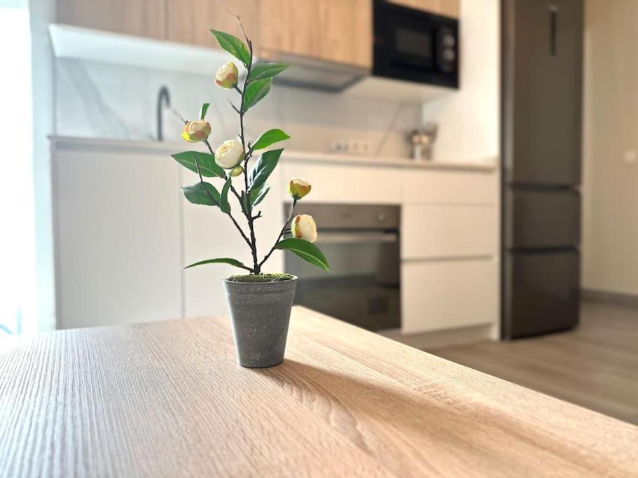 Apartamentos Rincon Andaluz 4 Kordoba Bagian luar foto
