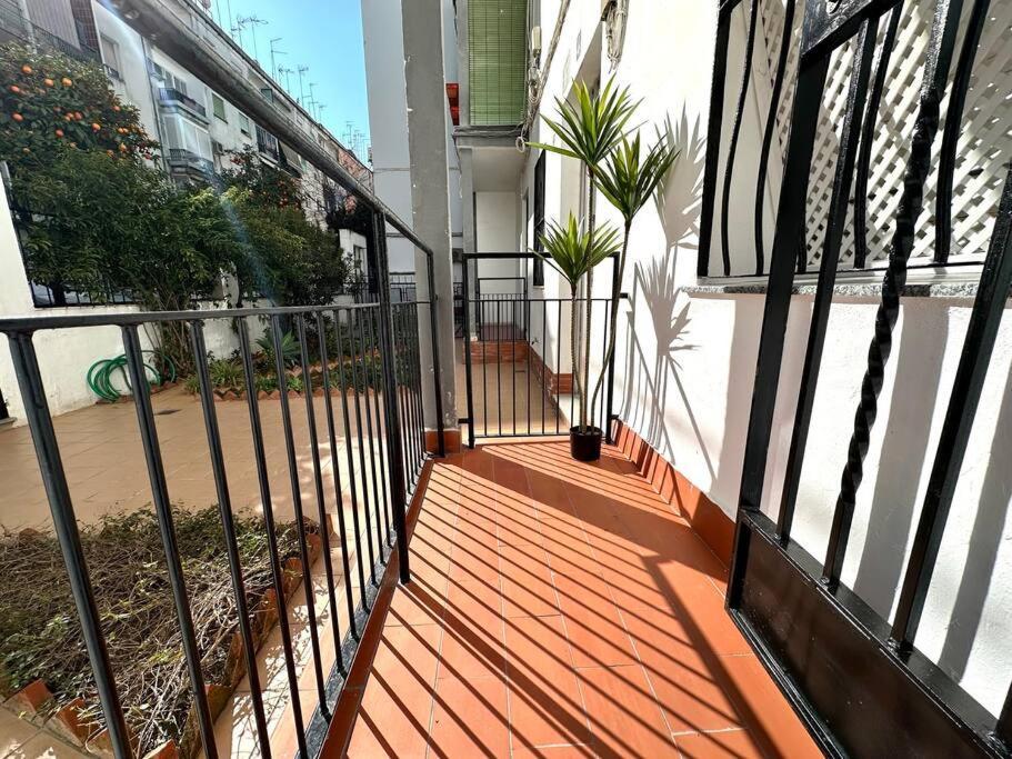 Apartamentos Rincon Andaluz 4 Kordoba Bagian luar foto